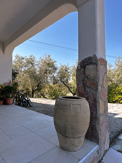 Terrazza con ulivi